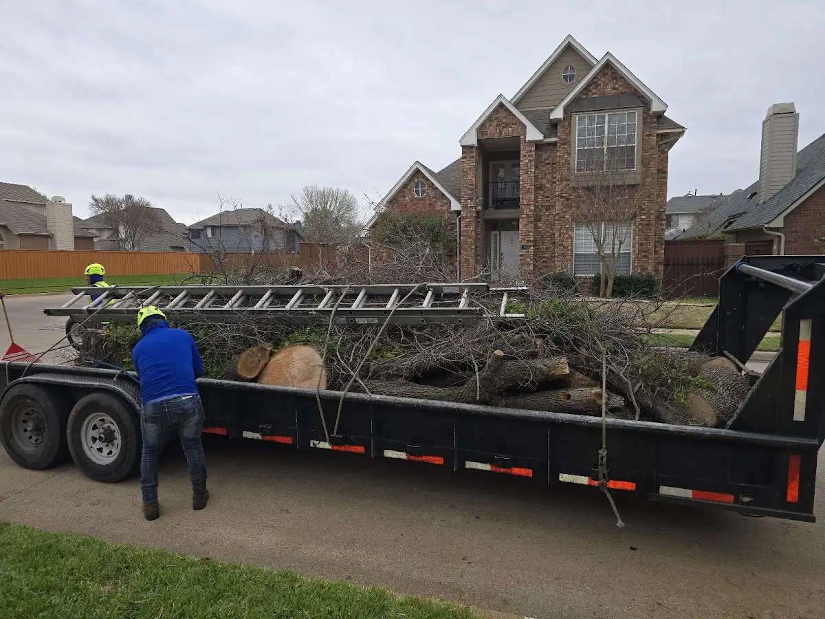 Expert Tree Fertilization with proper safety equipment in Salley